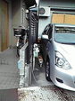P1000180.jpg
